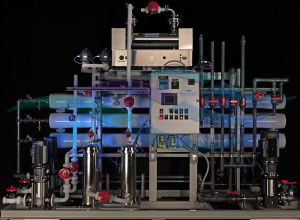 Ultrapure water system
