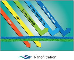 nanofiltration