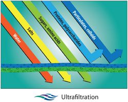ultrafiltration